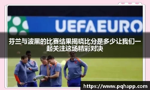 芬兰与波黑的比赛结果揭晓比分是多少让我们一起关注这场精彩对决