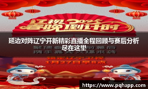 延边对阵辽宁开新精彩直播全程回顾与赛后分析尽在这里